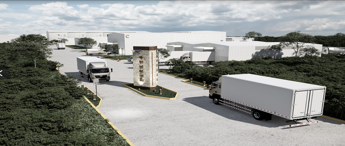 Foto de terreno habitacional en merida , seye, seyé, yucatán, 30682034 foto 03 Foto de terreno habitacional en venta en merida , seye, seyé, yucatán, 30682034 No. 03