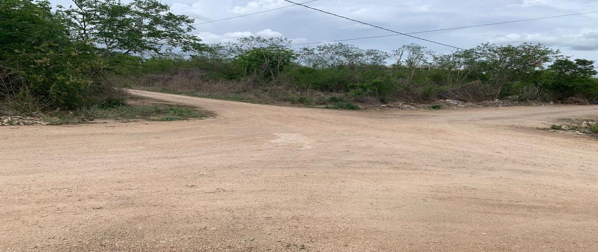 Foto de terreno habitacional en venta en merida , temozon norte, mérida, yucatán, 30016777 No. 04