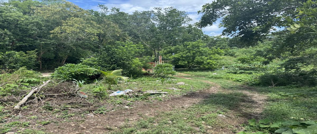 Foto de terreno habitacional en merida - valladolid/valladolid - merida/méxico 180 e , yaxcaba, yaxcabá, yucatán, 30159882 foto 05 Foto de terreno habitacional en venta en merida - valladolid/valladolid - merida/méxico 180 e , yaxcaba, yaxcabá, yucatán, 30159882 No. 05