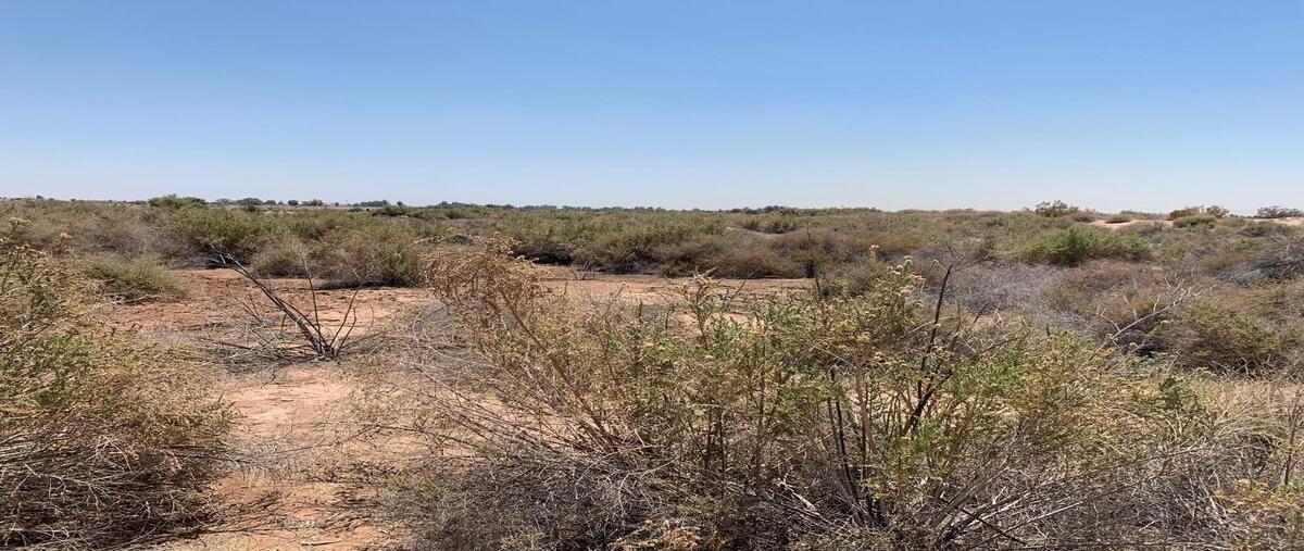 Foto de terreno habitacional en venta en  , mesa arenosa de andrade (villa zapata), mexicali, baja california, 0 No. 04