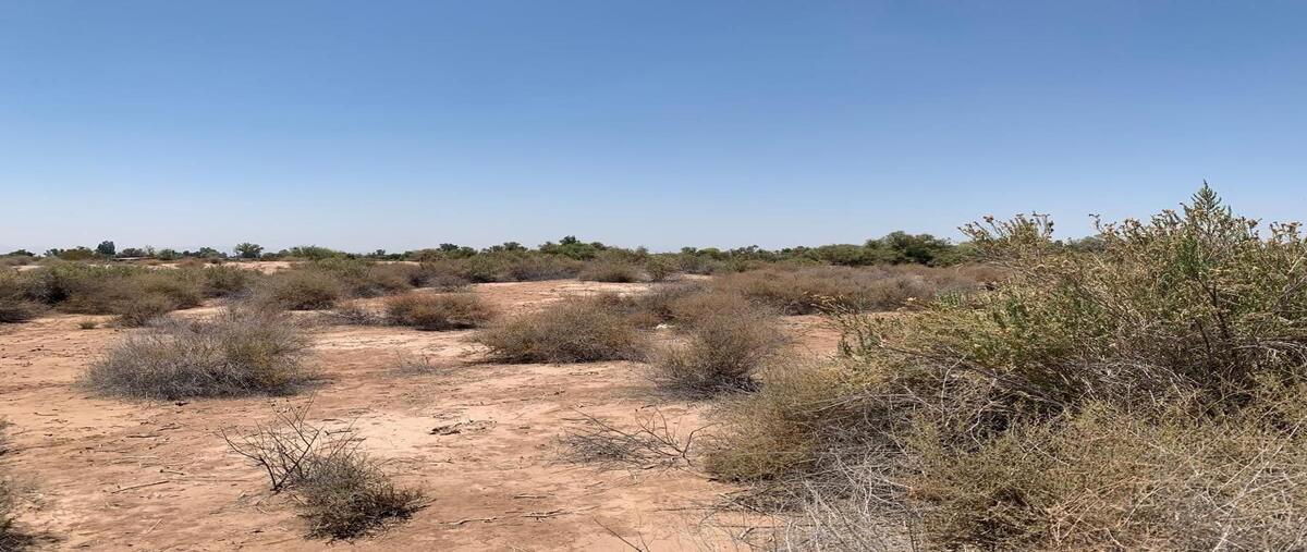 Foto de terreno habitacional en venta en  , mesa arenosa de andrade (villa zapata), mexicali, baja california, 0 No. 05