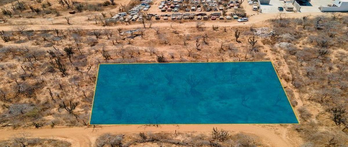 Foto de terreno comercial en venta en  , mesa colorada i, los cabos, baja california sur, 26653474 No. 05