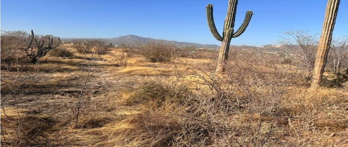 Foto de terreno comercial en venta en  , mesa colorada iii, los cabos, baja california sur, 0 No. 03