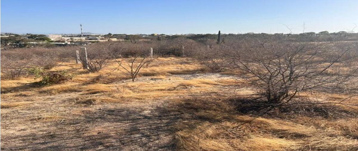 Foto de terreno comercial en venta en  , mesa colorada iii, los cabos, baja california sur, 0 No. 04