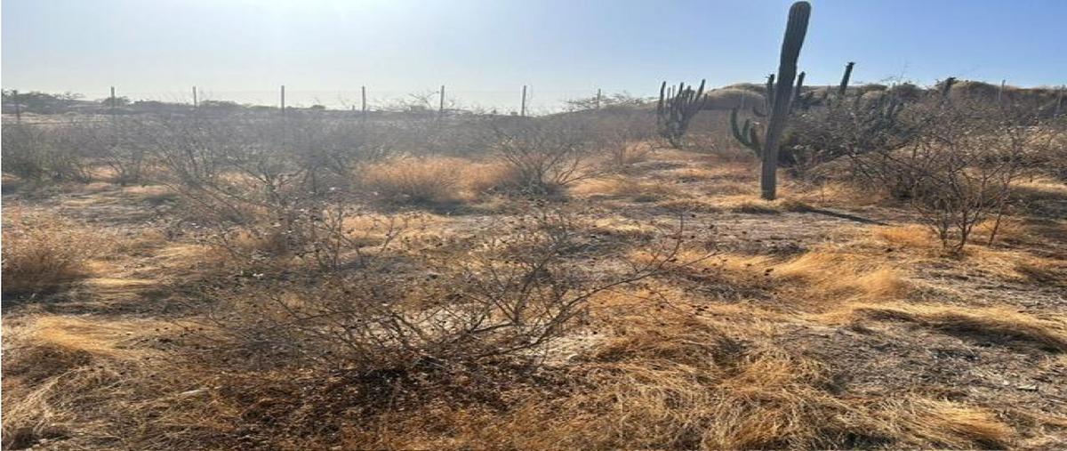 Foto de terreno comercial en venta en  , mesa colorada iii, los cabos, baja california sur, 0 No. 05