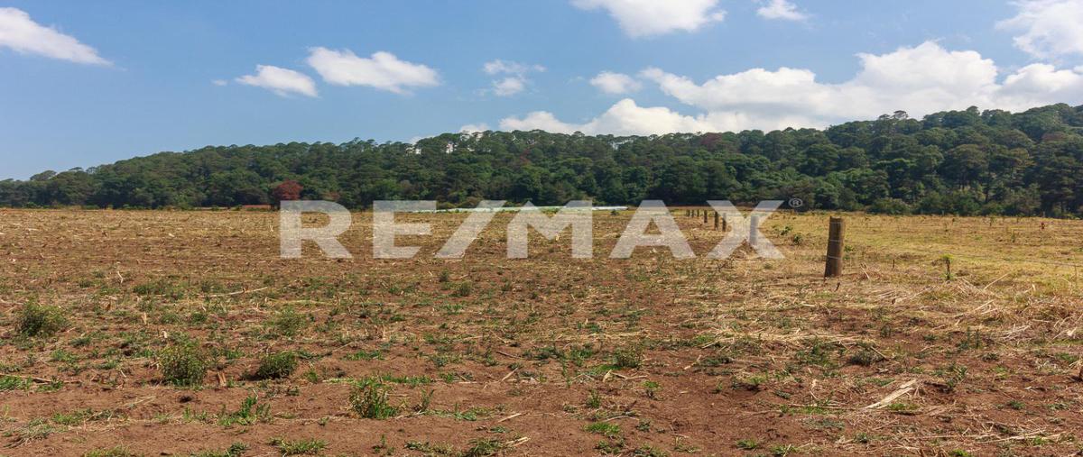 Foto de terreno habitacional en mesa de dolores primera sección , mesas de dolores, valle de bravo, méxico, 0 foto 01 Foto de terreno habitacional en venta en mesa de dolores primera sección , mesas de dolores, valle de bravo, méxico, 0 No. 01