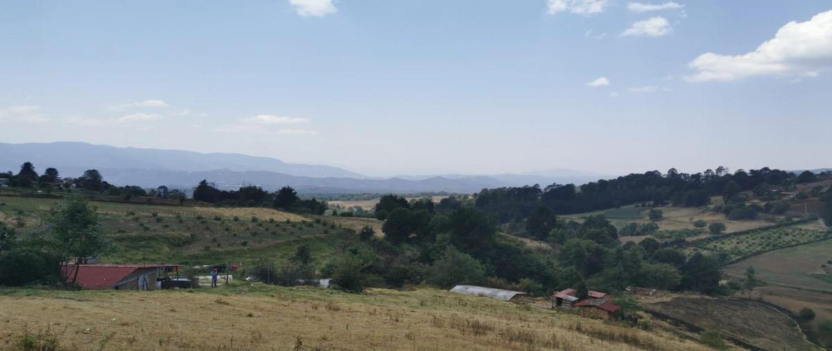 Foto de terreno habitacional en venta en mesa de dolores sección 1 , mesas de dolores, valle de bravo, méxico, 20055454 No. 03