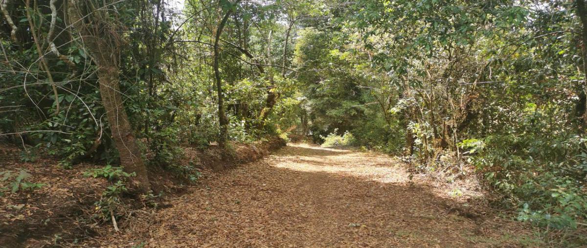 Foto de terreno habitacional en venta en mesa de dolores sección 1 , mesas de dolores, valle de bravo, méxico, 20055454 No. 05