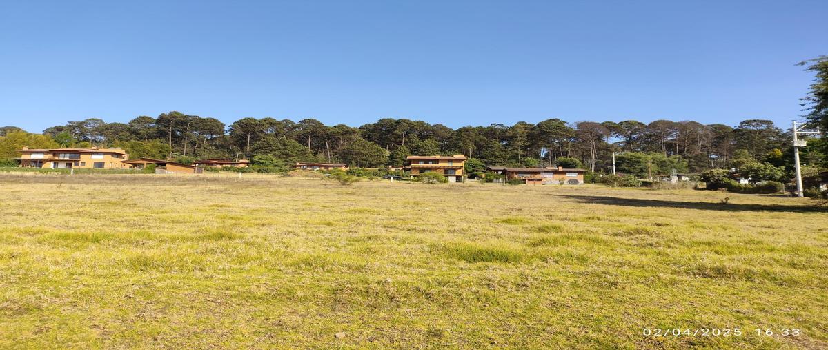 Foto de terreno habitacional en venta en  , mesa de jaimes, valle de bravo, méxico, 0 No. 04