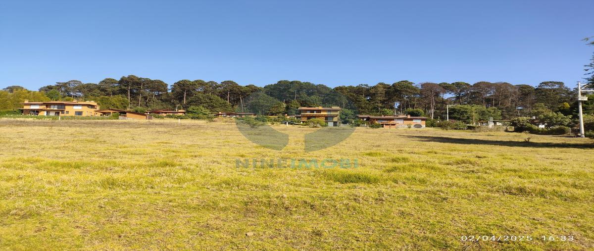 Foto de terreno habitacional en venta en  , mesa de jaimes, valle de bravo, méxico, 29976955 No. 05
