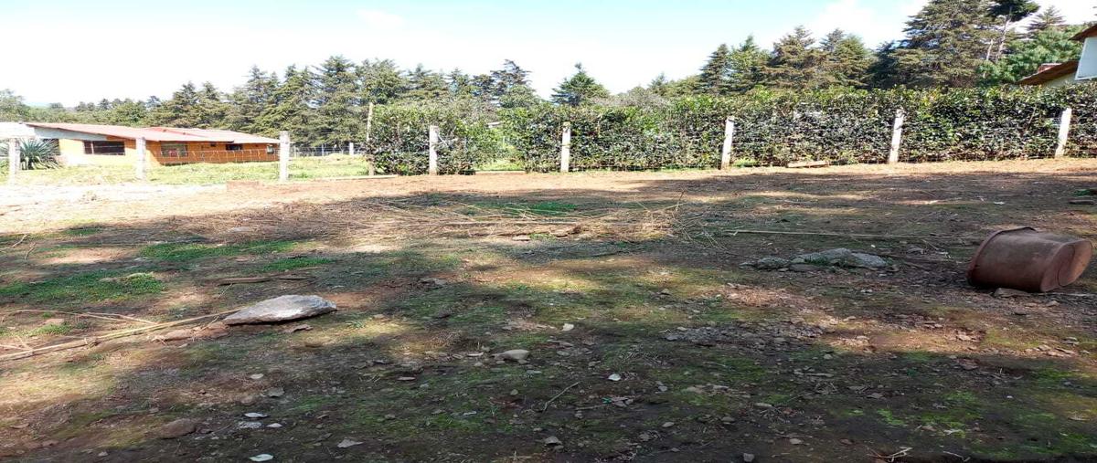Foto de terreno habitacional en venta en  , mesa de jaimes, valle de bravo, méxico, 0 No. 04