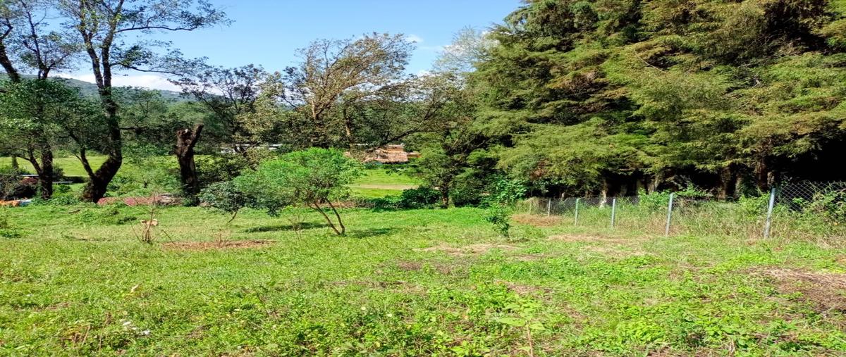 Foto de terreno habitacional en venta en  , mesa de jaimes, valle de bravo, méxico, 0 No. 03