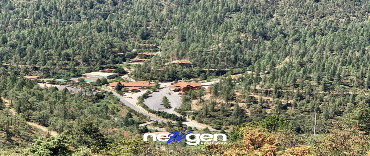 Foto de terreno habitacional en venta en  , mesa de las tablas, arteaga, coahuila de zaragoza, 30199372 No. 03