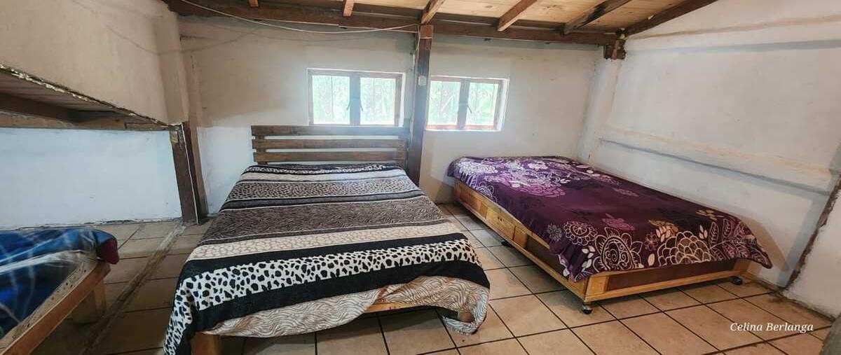 Foto de rancho en venta en  , mesa de las tablas, arteaga, coahuila de zaragoza, 0 No. 11