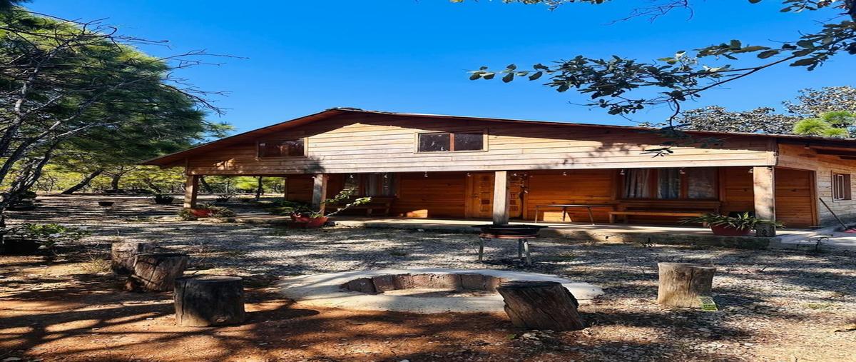 Foto de rancho en venta en mesa de nuñez , lagunillas, san martín hidalgo, jalisco, 0 No. 03