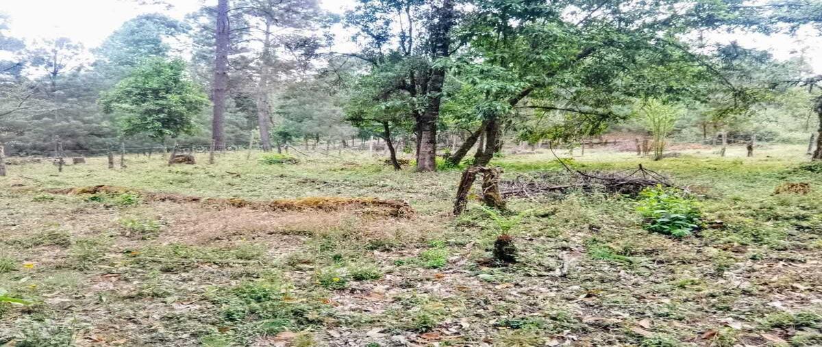 Foto de terreno habitacional en venta en mesa rica , mesa rica, valle de bravo, méxico, 29366255 No. 03