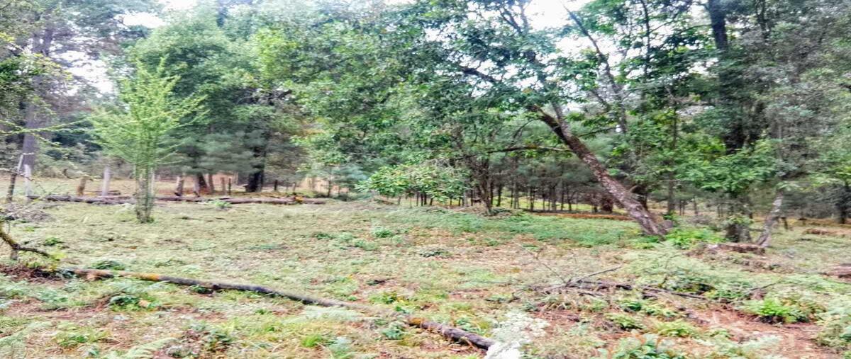 Foto de terreno habitacional en venta en mesa rica , mesa rica, valle de bravo, méxico, 29366255 No. 04