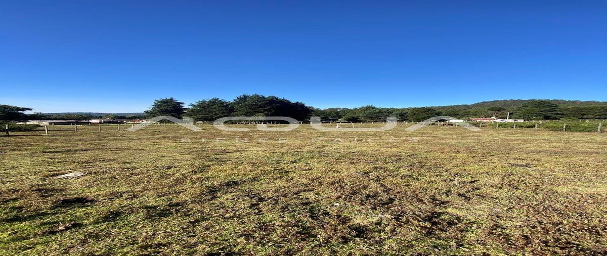 Foto de terreno habitacional en mesa rica , mesa rica, valle de bravo, méxico, 0 foto 03 Foto de terreno habitacional en venta en mesa rica , mesa rica, valle de bravo, méxico, 0 No. 03