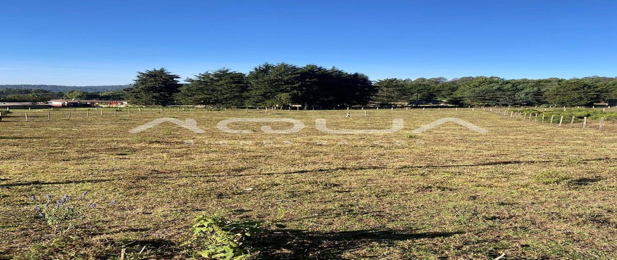 Foto de terreno habitacional en mesa rica , mesa rica, valle de bravo, méxico, 0 foto 05 Foto de terreno habitacional en venta en mesa rica , mesa rica, valle de bravo, méxico, 0 No. 05
