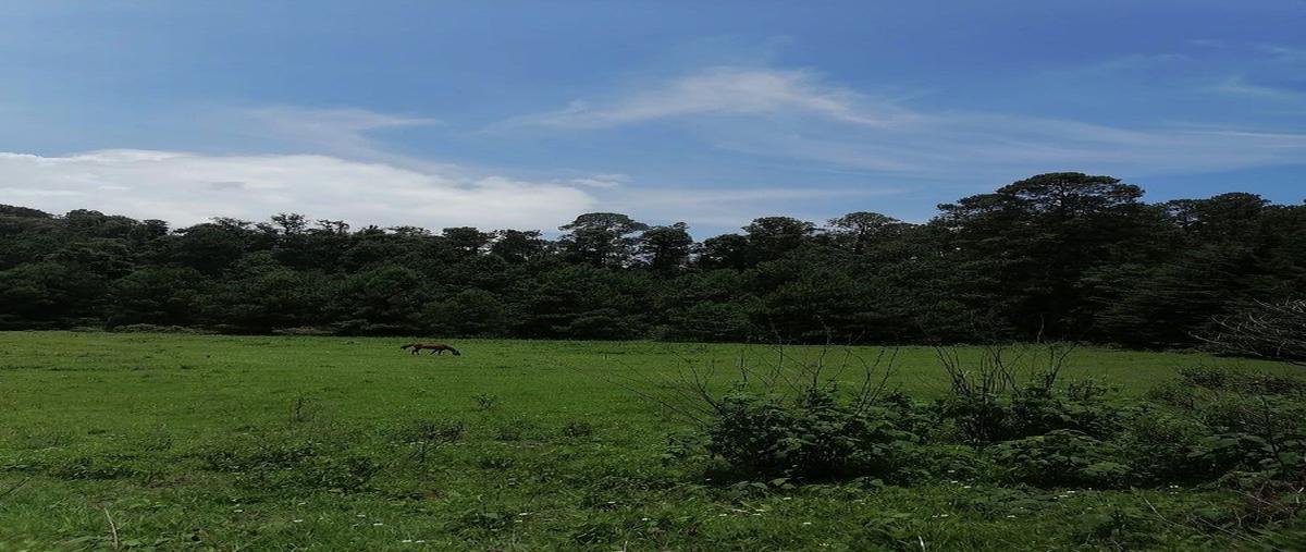 Foto de terreno comercial en venta en  , mesa rica, valle de bravo, méxico, 0 No. 03