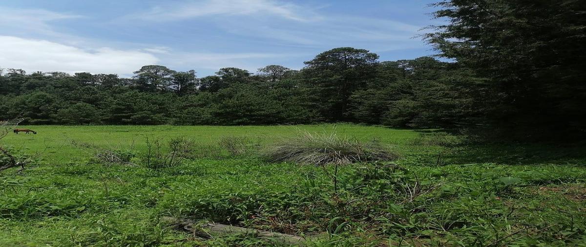 Foto de terreno comercial en venta en  , mesa rica, valle de bravo, méxico, 0 No. 04