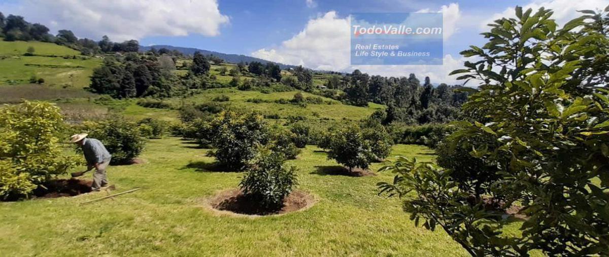 Foto de rancho en venta en mesas de dolores, valle de bravo, estado de méxico , mesas de dolores, valle de bravo, méxico, 0 No. 03