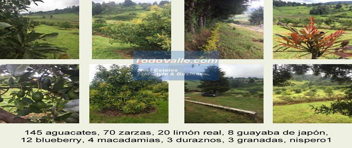 Foto de rancho en venta en mesas de dolores, valle de bravo, estado de méxico , mesas de dolores, valle de bravo, méxico, 0 No. 05