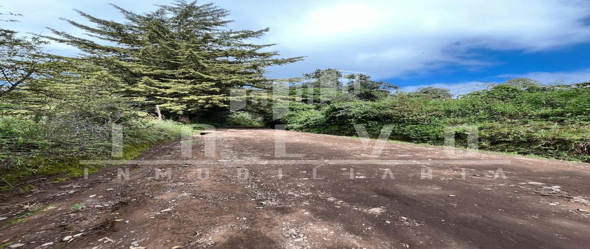 Foto de terreno habitacional en venta en  , mesas de dolores, valle de bravo, méxico, 0 No. 05