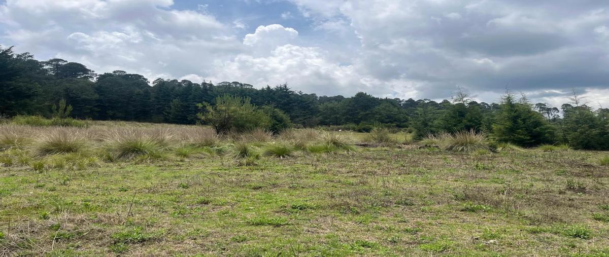 Foto de terreno habitacional en venta en  , mesas de dolores, valle de bravo, méxico, 0 No. 03