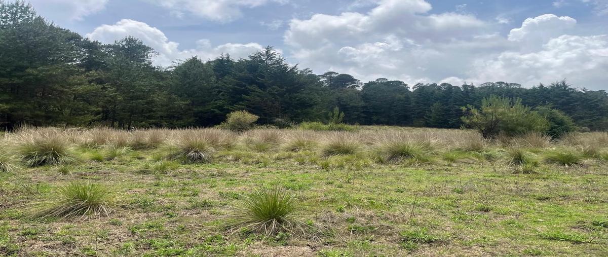 Foto de terreno habitacional en venta en  , mesas de dolores, valle de bravo, méxico, 0 No. 04