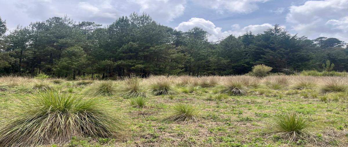 Foto de terreno habitacional en venta en  , mesas de dolores, valle de bravo, méxico, 0 No. 05