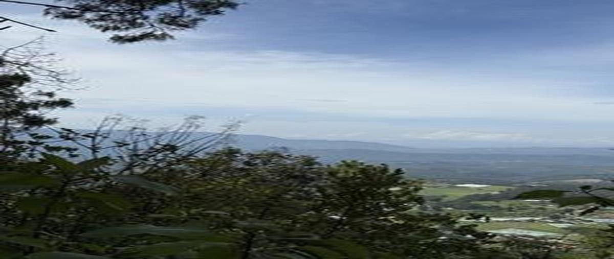 Foto de terreno habitacional en venta en  , mesas de dolores, valle de bravo, méxico, 0 No. 03