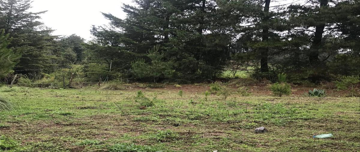 Foto de terreno habitacional en venta en  , mesas de dolores, valle de bravo, méxico, 0 No. 03