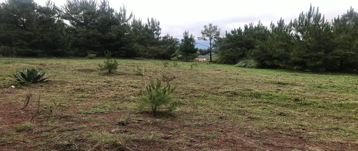 Foto de terreno habitacional en venta en  , mesas de dolores, valle de bravo, méxico, 0 No. 04