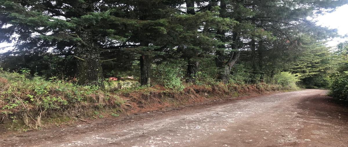 Foto de terreno habitacional en venta en  , mesas de dolores, valle de bravo, méxico, 0 No. 05