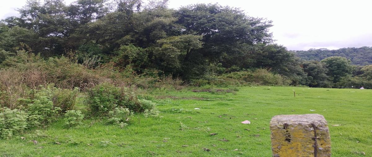 Foto de terreno habitacional en venta en  , mesas de dolores, valle de bravo, méxico, 0 No. 03