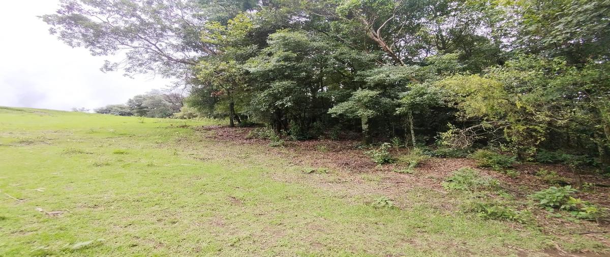 Foto de terreno habitacional en venta en  , mesas de dolores, valle de bravo, méxico, 0 No. 05