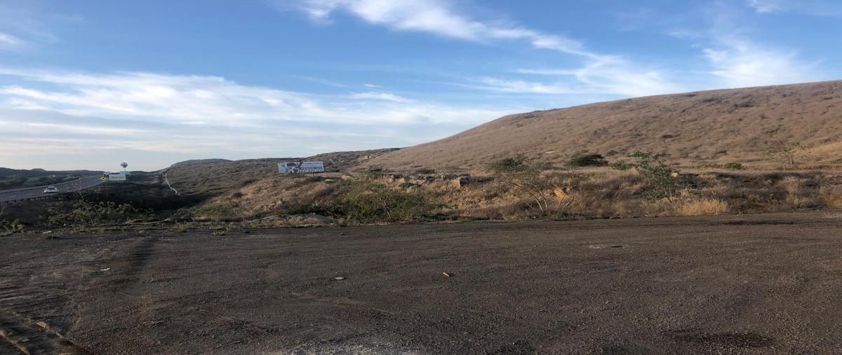 Foto de terreno comercial en renta en mesas de san miguel de el sauzal de la manzana s/m , el sauzal, ensenada, baja california, 11882172 No. 05