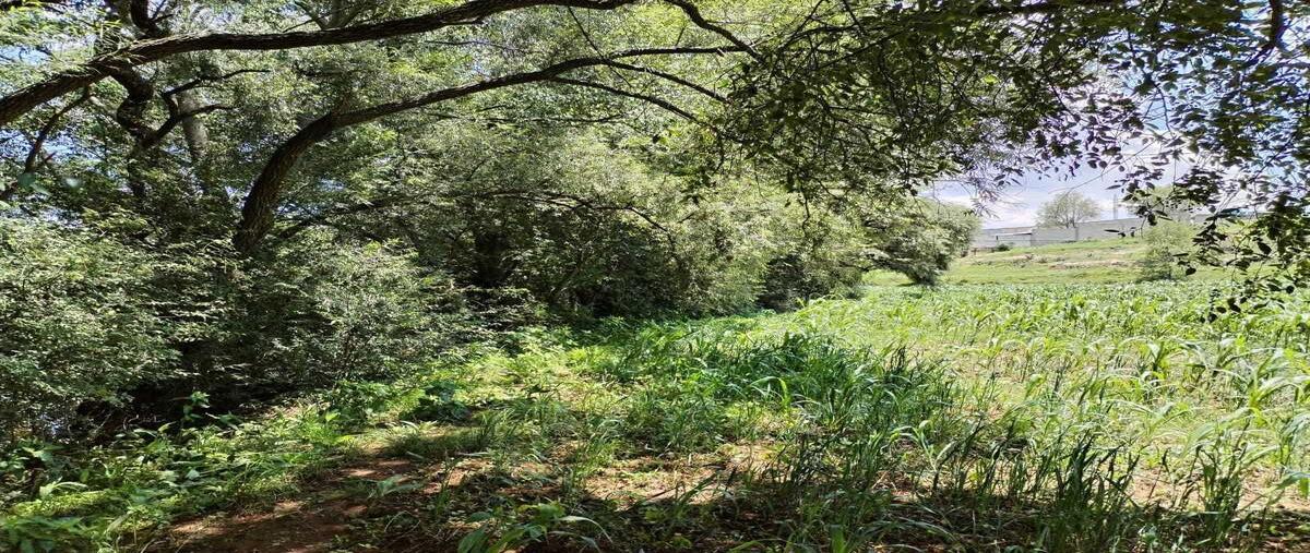 Foto de terreno habitacional en venta en  , mesillas, amealco de bonfil, querétaro, 28083390 No. 04