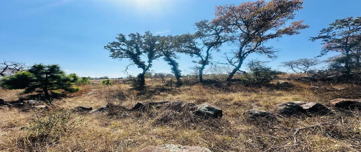 Foto de terreno habitacional en venta en  , mesillas, amealco de bonfil, querétaro, 0 No. 03