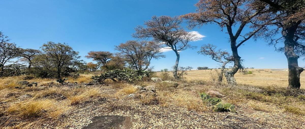 Foto de terreno habitacional en venta en  , mesillas, amealco de bonfil, querétaro, 0 No. 04