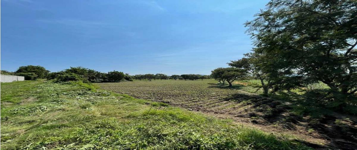 Foto de terreno habitacional en venta en  , metepec, atlixco, puebla, 0 No. 01