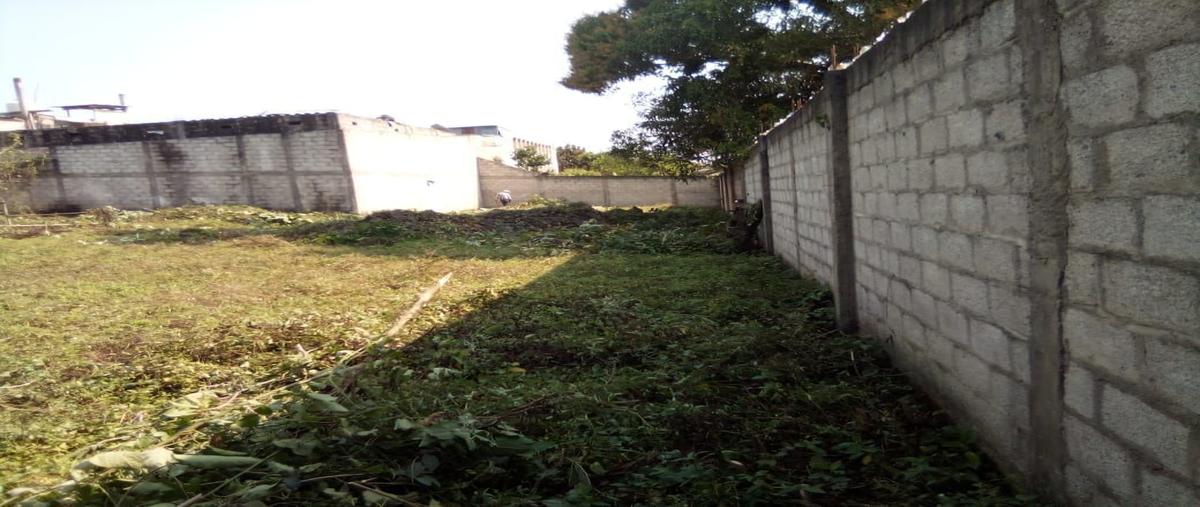 Foto de terreno comercial en venta en  , metlaltoyuca, francisco z. mena, puebla, 25887449 No. 03