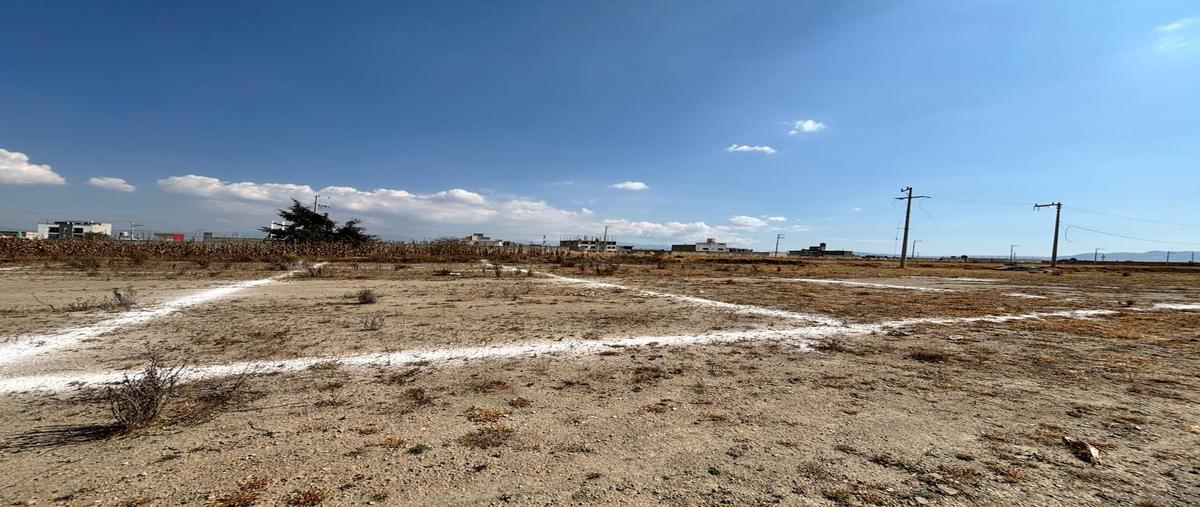 Foto de terreno habitacional en venta en  , mexicaltzingo, mexicaltzingo, méxico, 0 No. 04