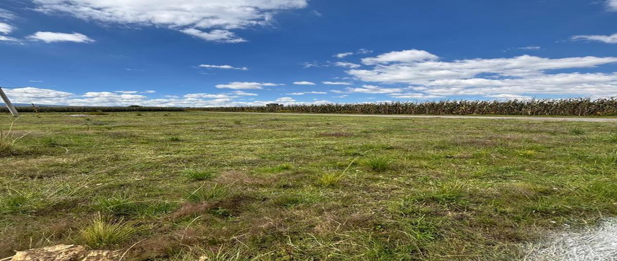 Foto de terreno habitacional en venta en  , mexicaltzingo, mexicaltzingo, méxico, 0 No. 05