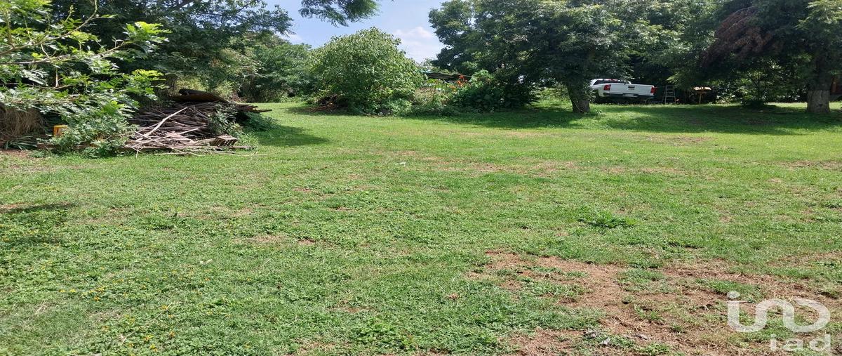 Foto de terreno habitacional en venta en méxico 135 164, san francisco telixtlahuaca centro, san francisco telixtlahuaca, oaxaca, 30340079 No. 03