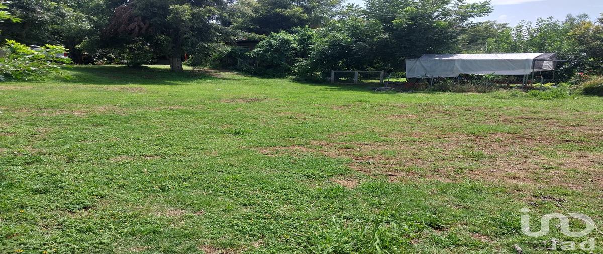 Foto de terreno habitacional en venta en méxico 135 164, san francisco telixtlahuaca centro, san francisco telixtlahuaca, oaxaca, 30340079 No. 04