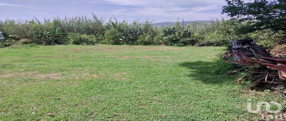 Foto de terreno habitacional en venta en méxico 135 164, san francisco telixtlahuaca centro, san francisco telixtlahuaca, oaxaca, 30340079 No. 05