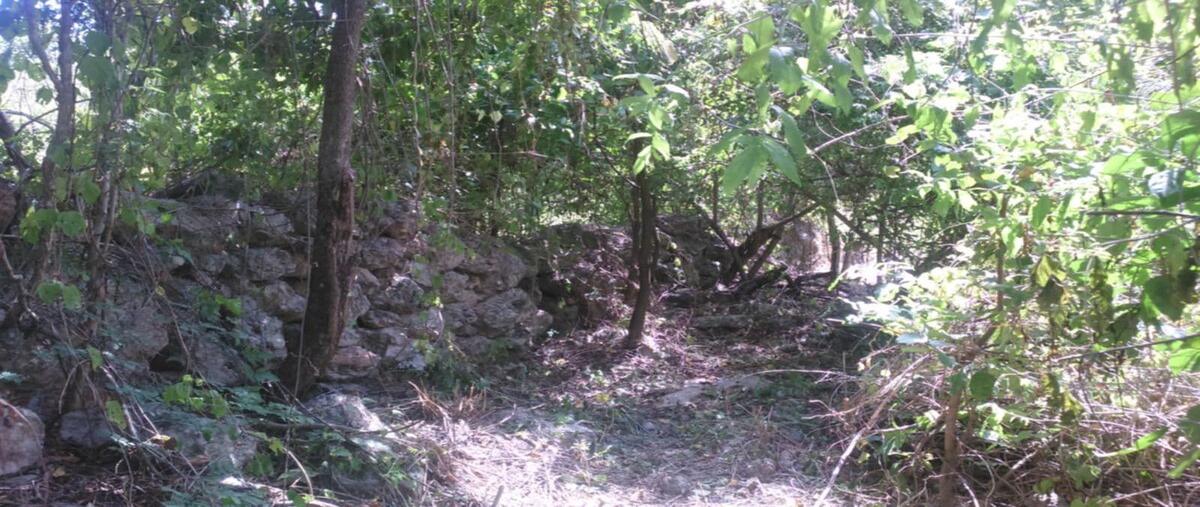 Foto de terreno habitacional en venta en mexico 261 , choyob, muna, yucatán, 0 No. 03