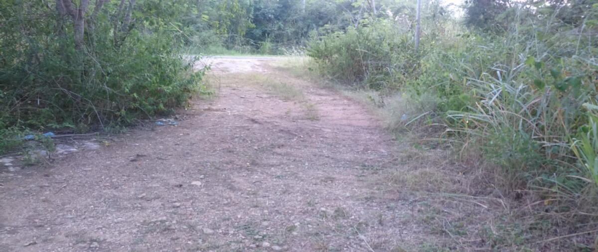 Foto de terreno habitacional en venta en mexico 261 , choyob, muna, yucatán, 0 No. 04